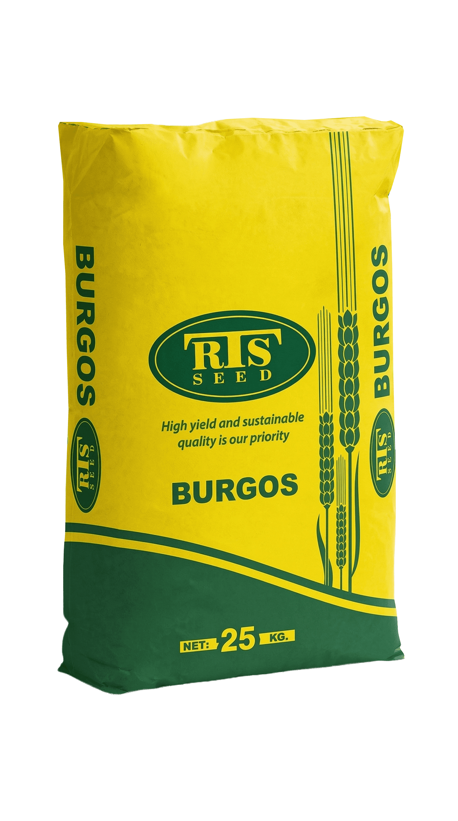 BURGOS